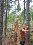 Sweden 2006-07 195